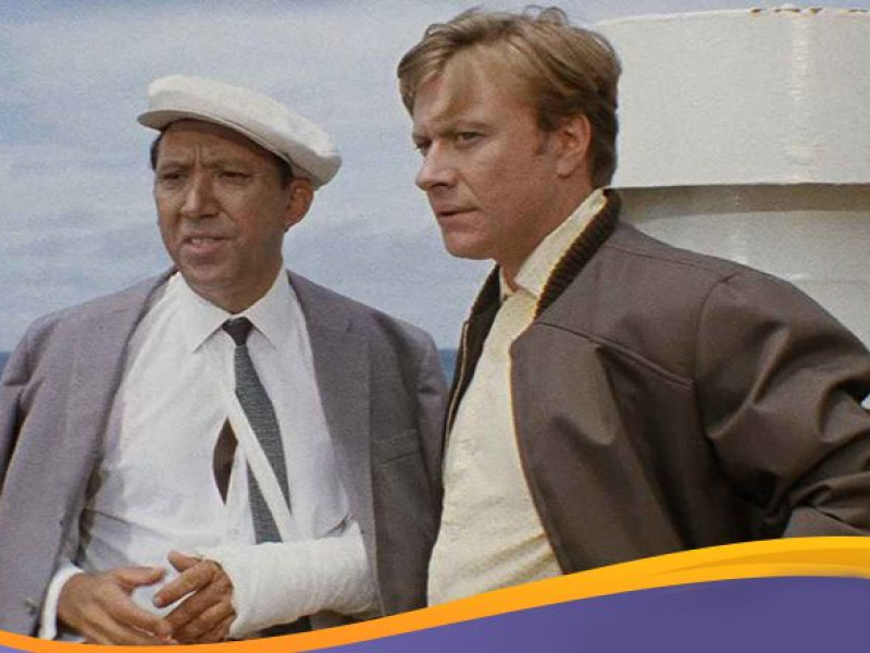 Вам простой гипс или дорогой?