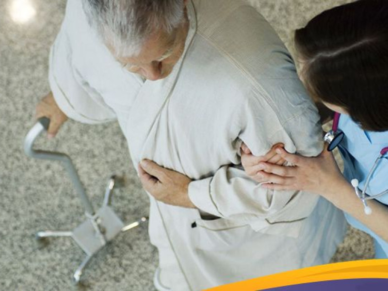 Виды, функции и преимущества квадроподов