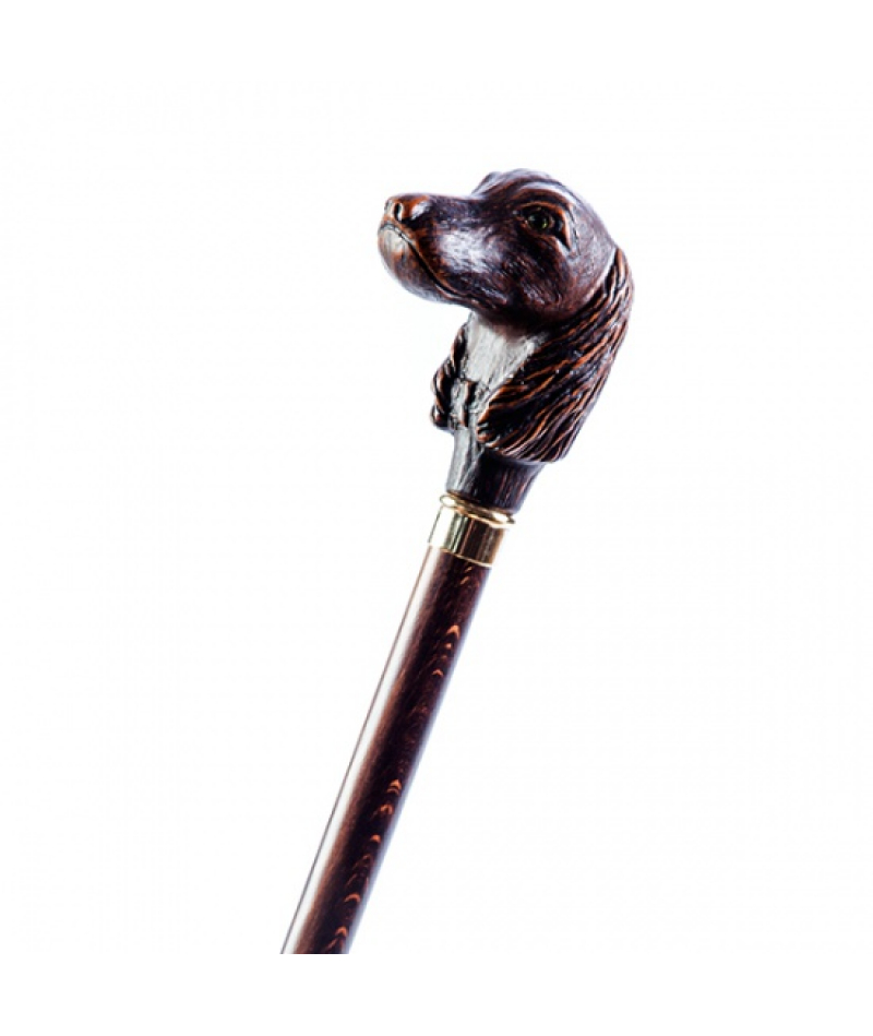 Тростина Garcia Artes 540 - 2