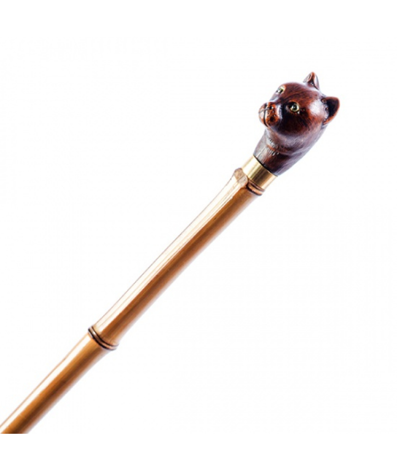 Тростина Garcia Artes 505 - 2