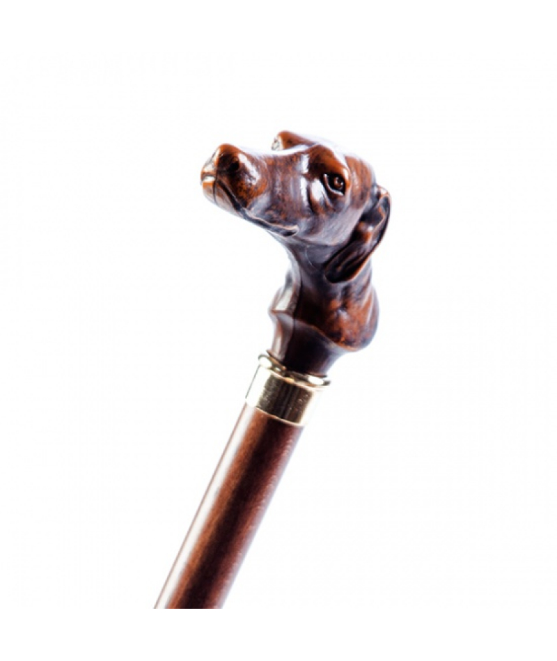 Тростина Garcia Artes 527 - 2